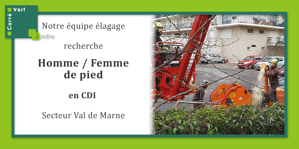 Carré Vert recrute
