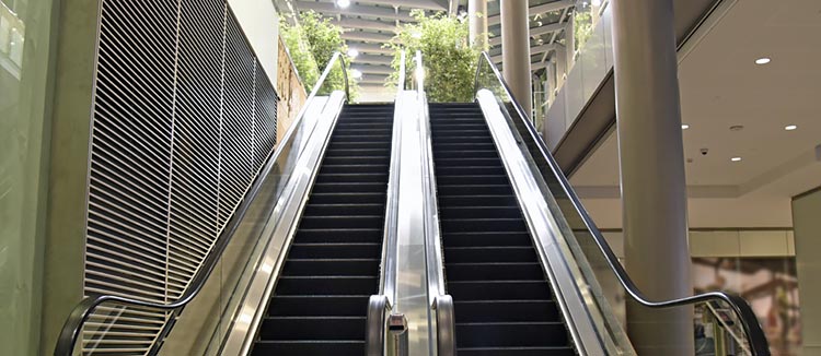 Au coeur de la Remise en état de propreté d’un escalator