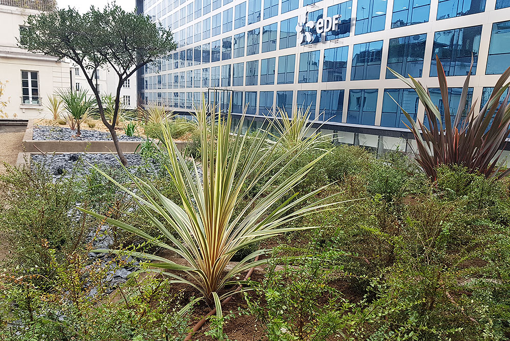 #2 Entreprise, votre entreprise de propreté aménage vos espaces verts : Toit terrasse végétalisé