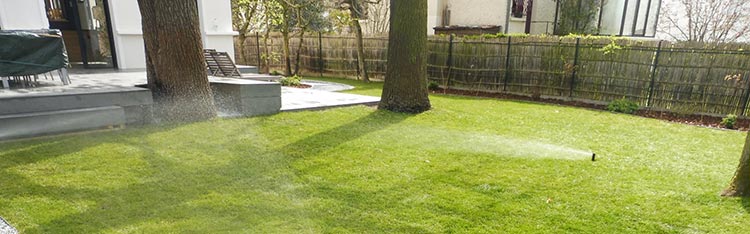 Amenagement d'un jardin au Vésinet